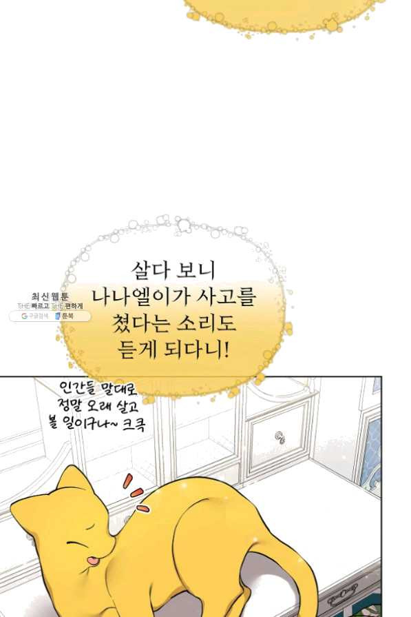 16351160851017zucwmuilb8.jpeg