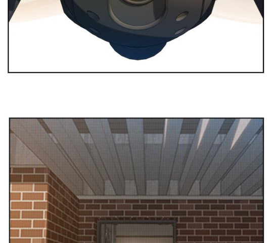 1636322973483p3dg2yboxai.jpeg