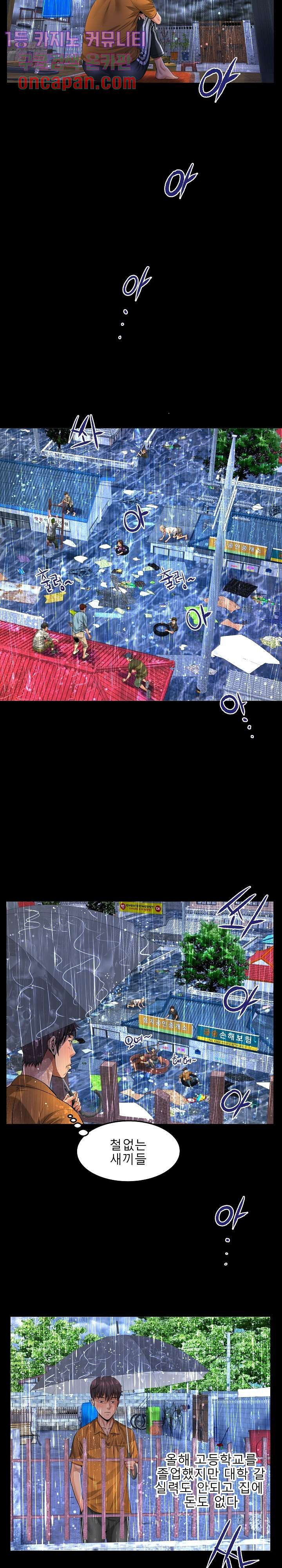 1639693374812bxy5mhhoi4i.jpeg