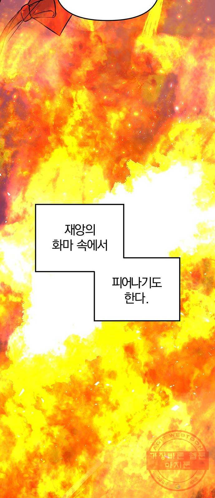 16404042393947r8fw0yzega.jpeg