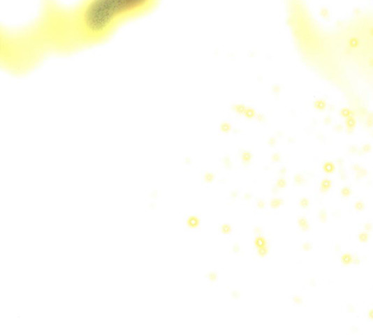 1629410850561.jpeg
