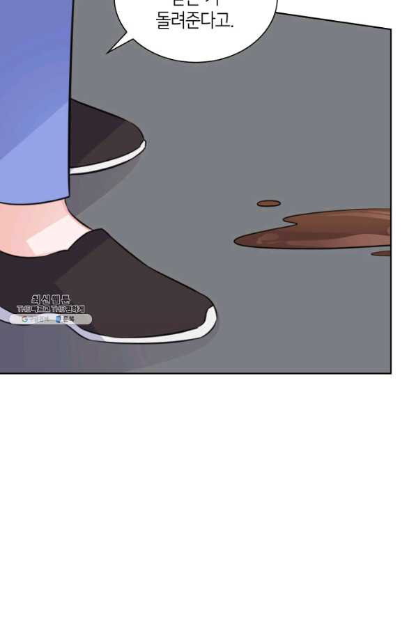 163193137104284h0visbddl.jpeg