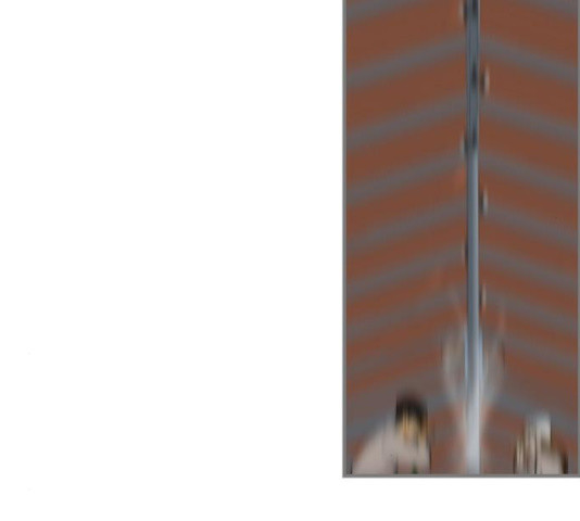 1632103505566ptkynqf2bs9.jpeg