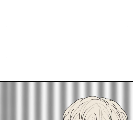 16328026749638fa0omrqig.jpeg
