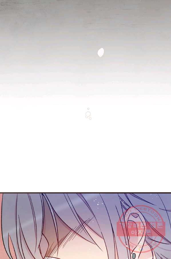 16429947724263mvmml81nzo.jpeg