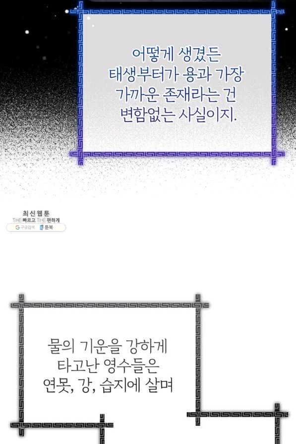 16452239912864k98x2sr1h.jpeg