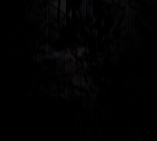 1646268893033qn70klcjn7o.jpeg