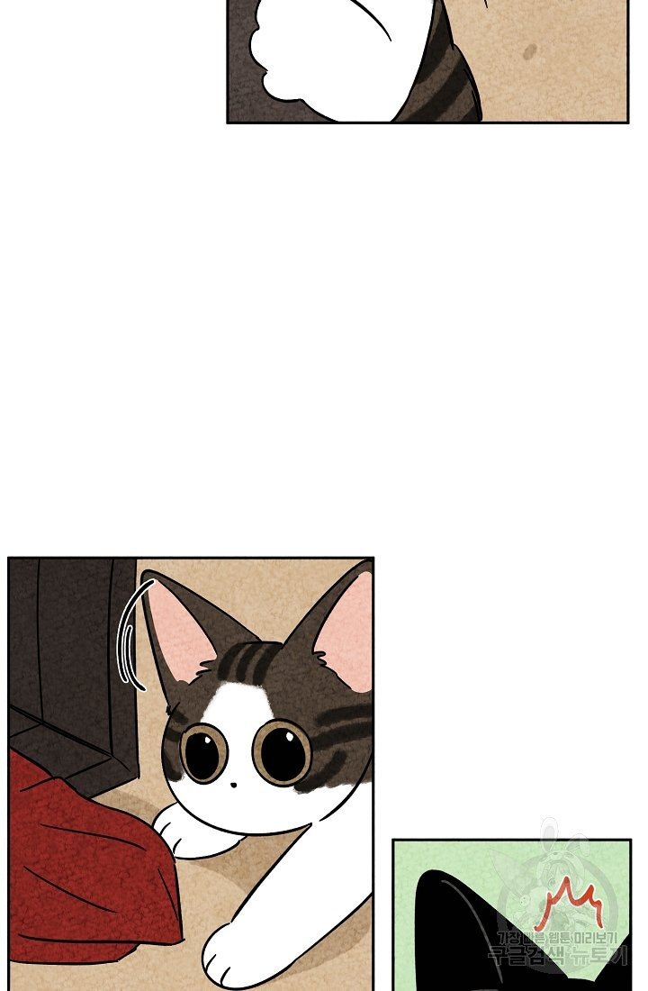 1650072517725g0x6lo4sh7a.jpeg