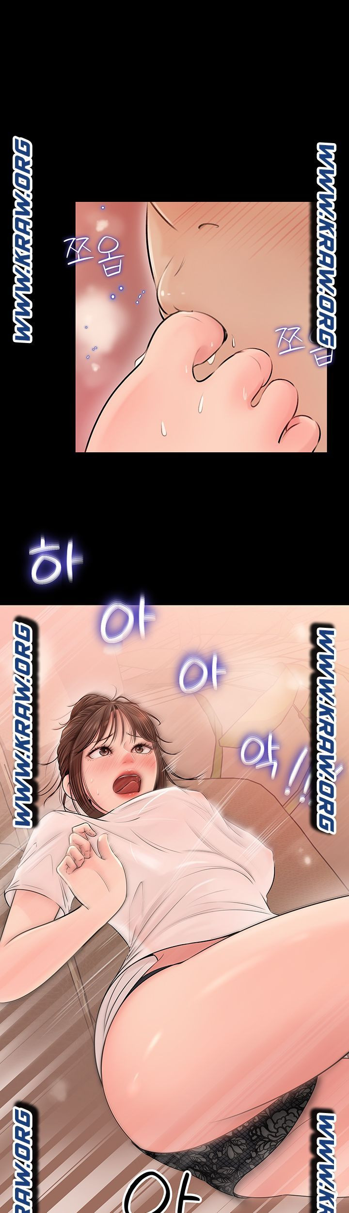 165464788082484wonszleib.jpeg
