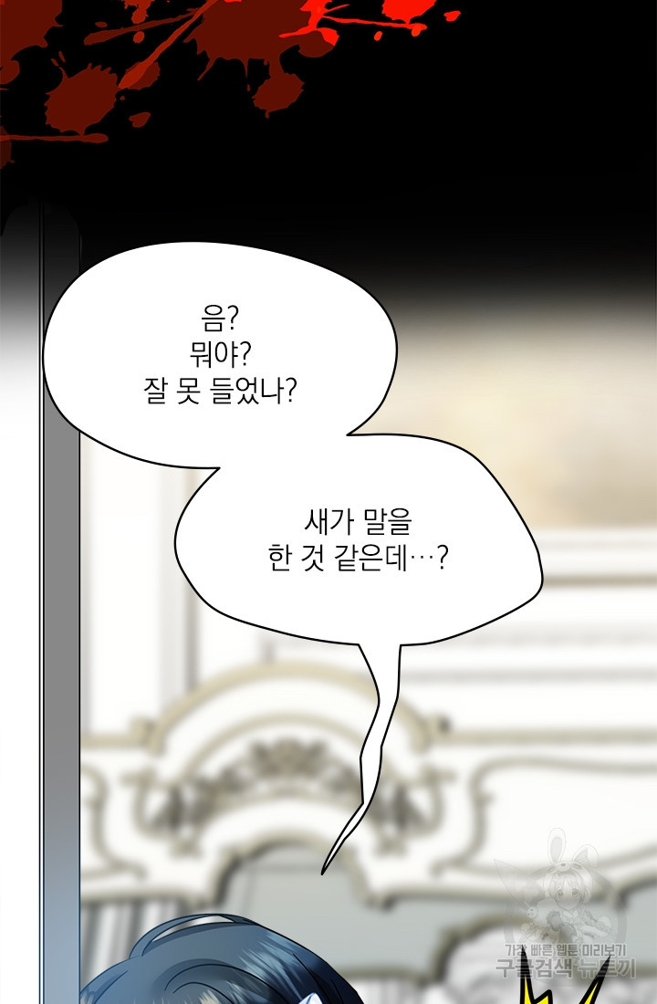 1673658850156y256sjunho.jpeg