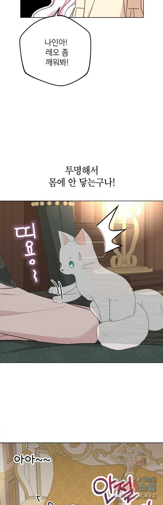 1672968936959kgg9tum62z.jpeg