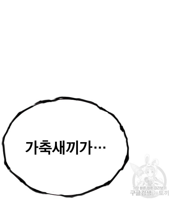 167574138254462bmdptvhva.jpeg