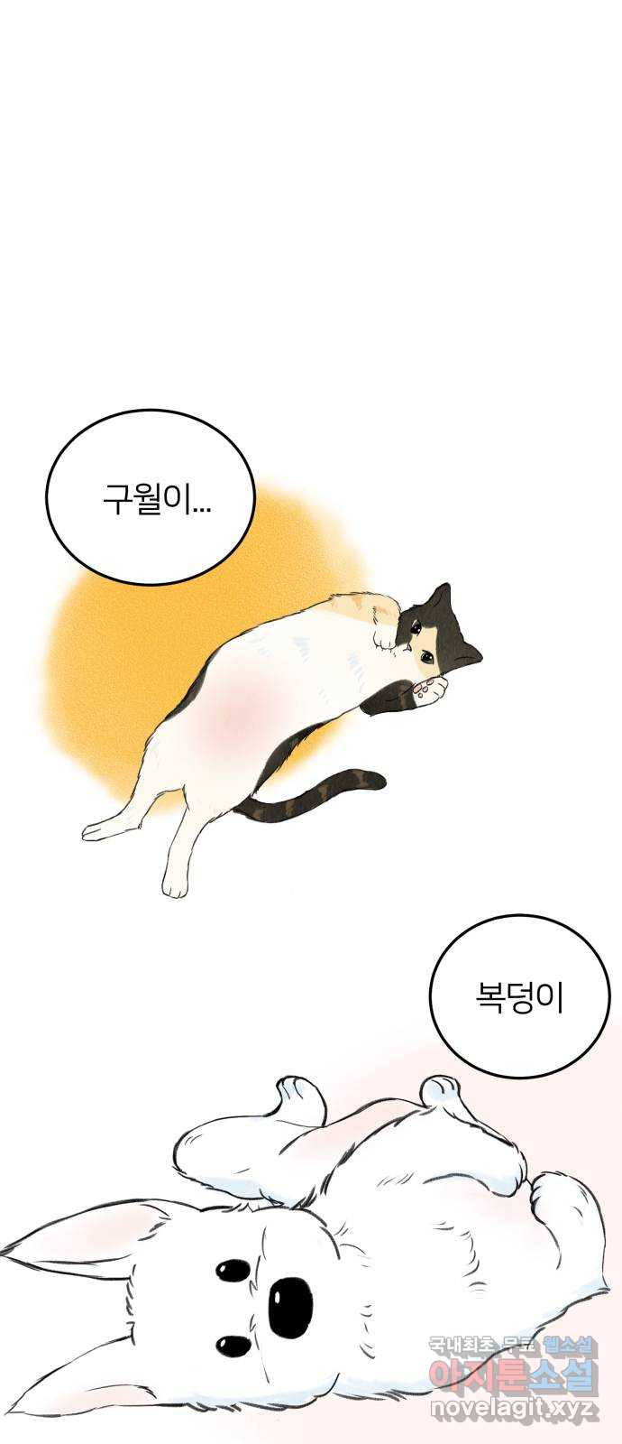 1675741812245hqq8a4c68ed.jpeg