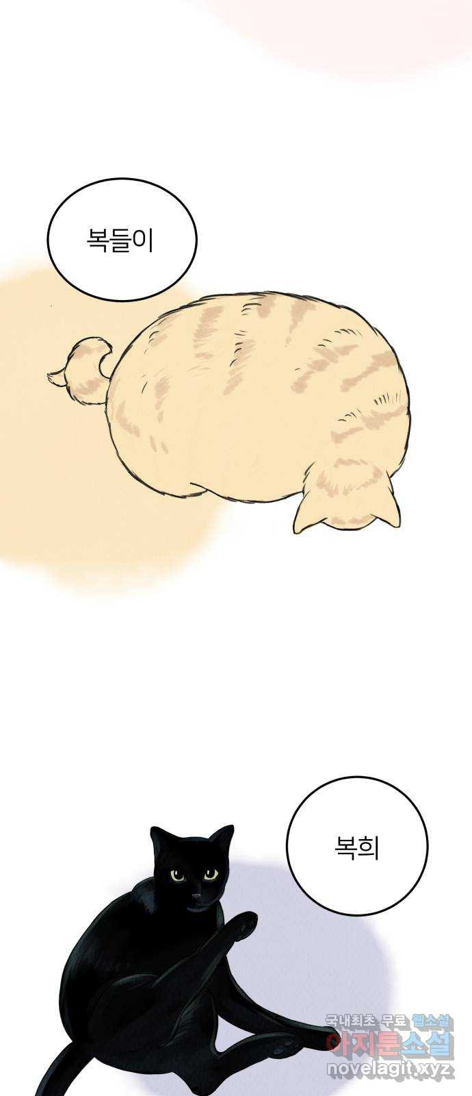 1675741812405g8yialb6tdq.jpeg