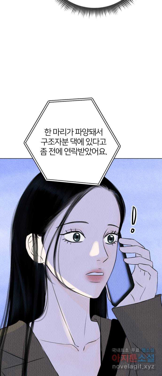 1675741824479xylzm7hfeom.jpeg