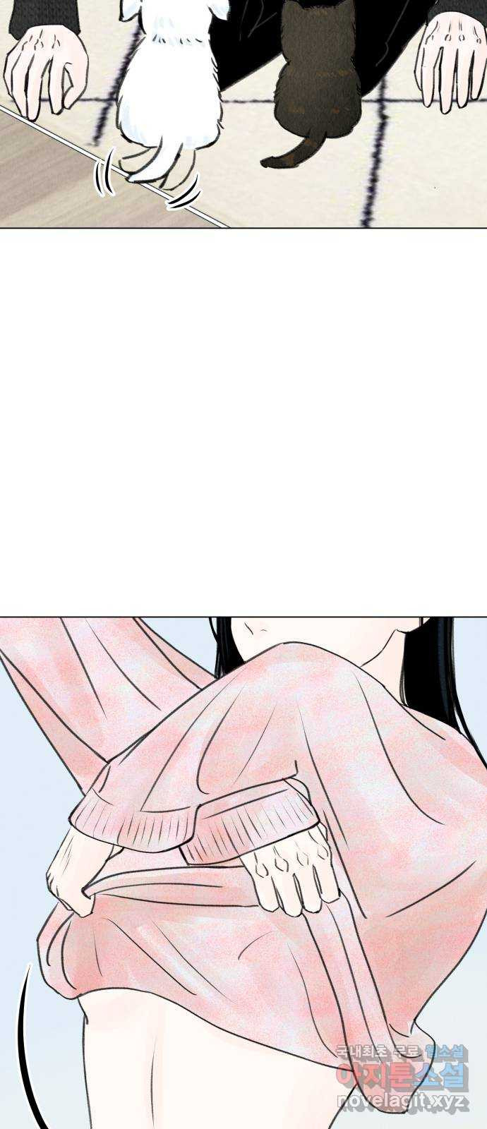 16781346367446w4jmxynd.jpeg
