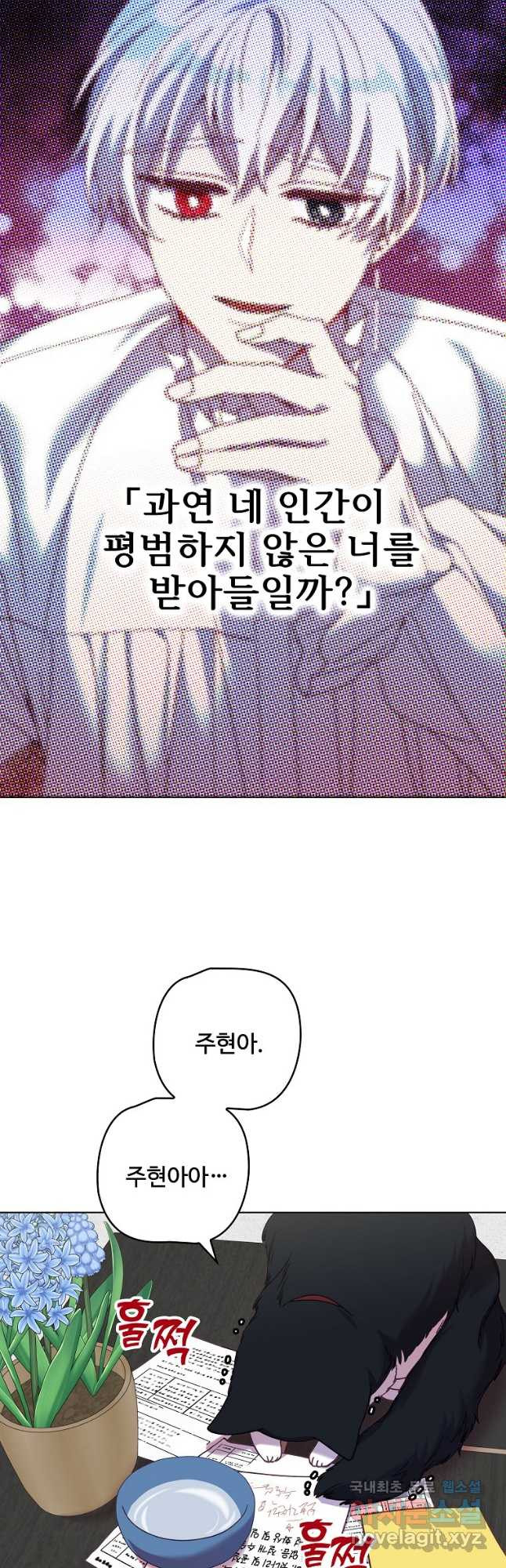 1682393158880gw8ig1x0c79.jpeg