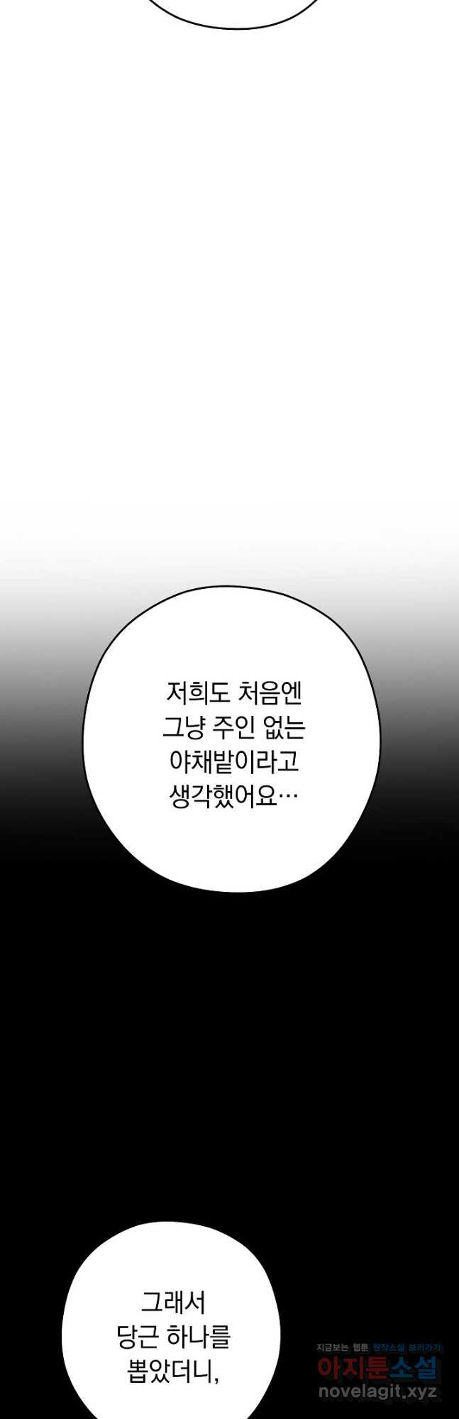1682390088299zk7d3bvmtn.jpeg
