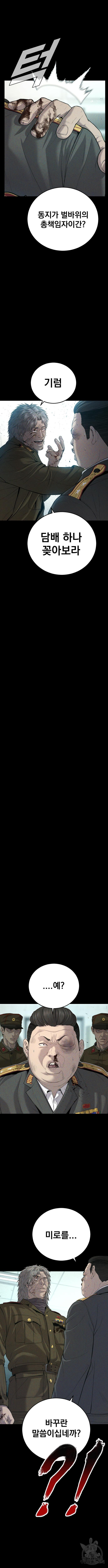 1683601143969smc3x79nq38.jpeg