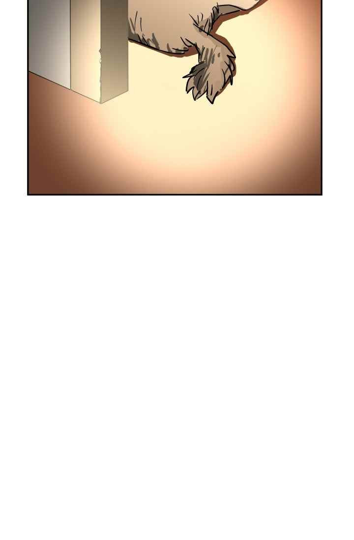 15652447512279.jpeg