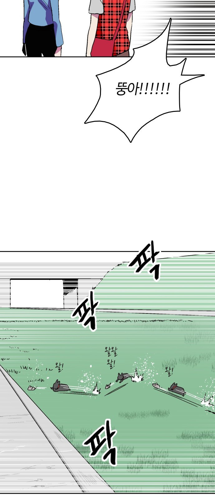 15654005610916.jpg