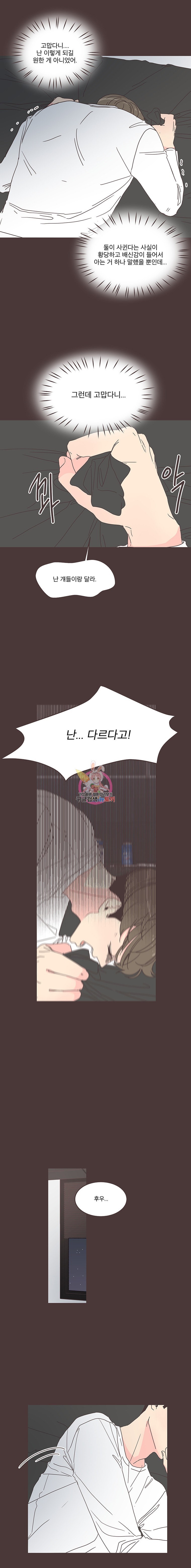 16150744954373.jpeg